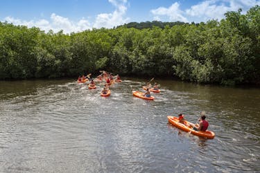 4×4 safari, mangrove lagoon kayaking and reef snorkeling